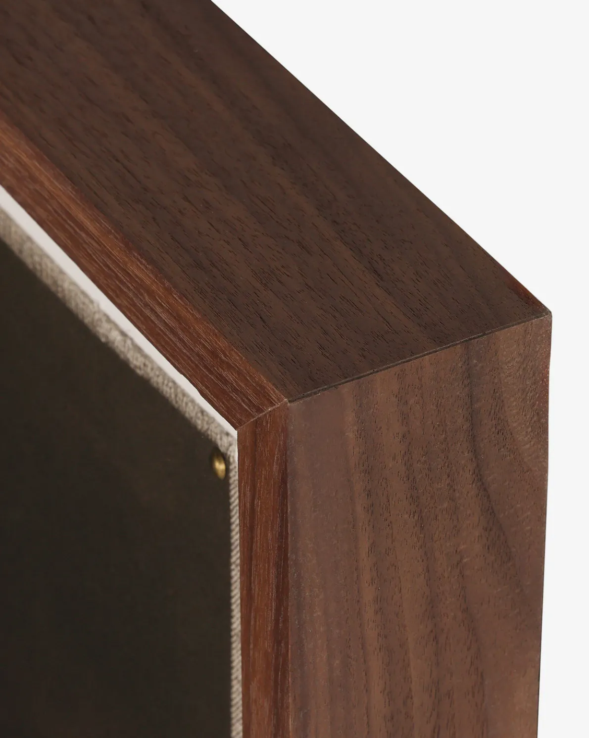 Bloom II by Brittney Schulz