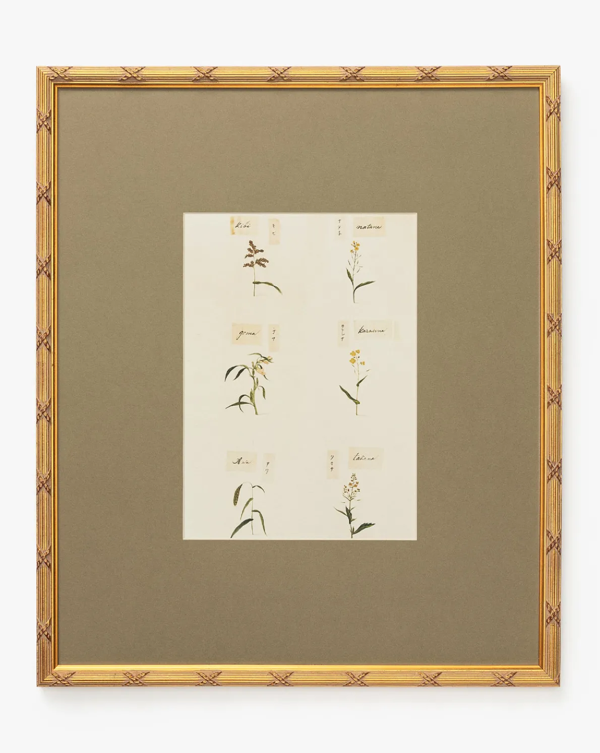 Botanical Grid 3