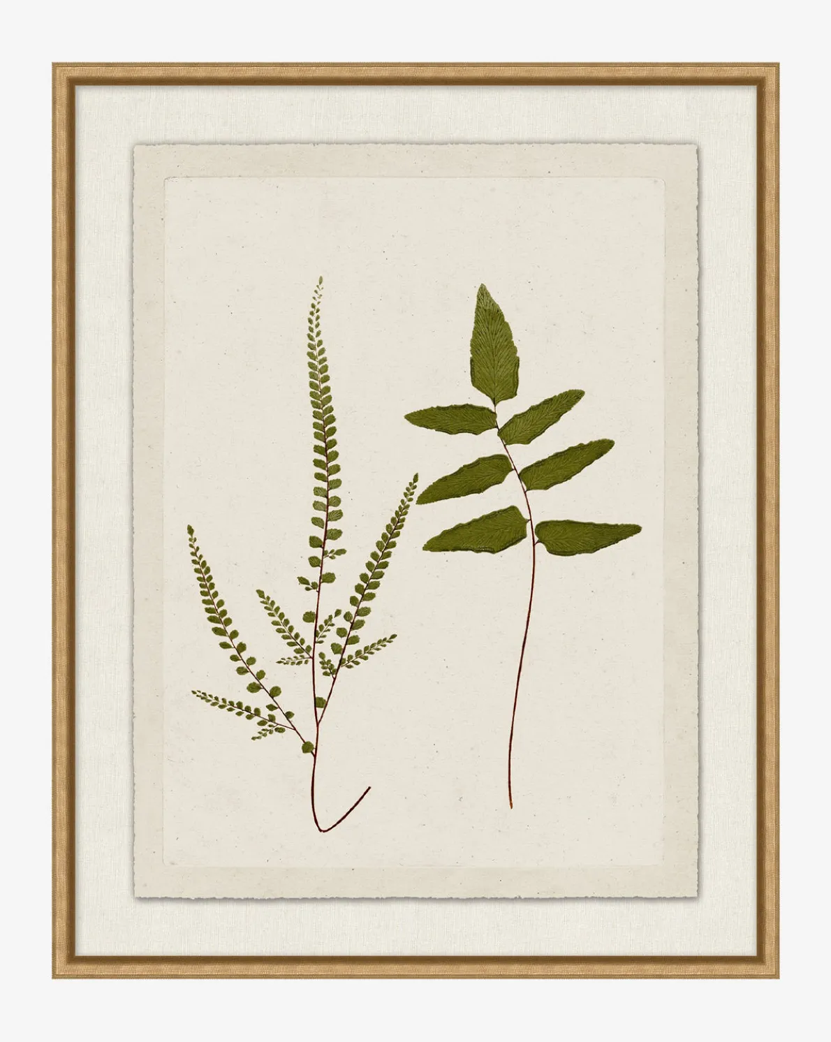 Botanical Pressings I