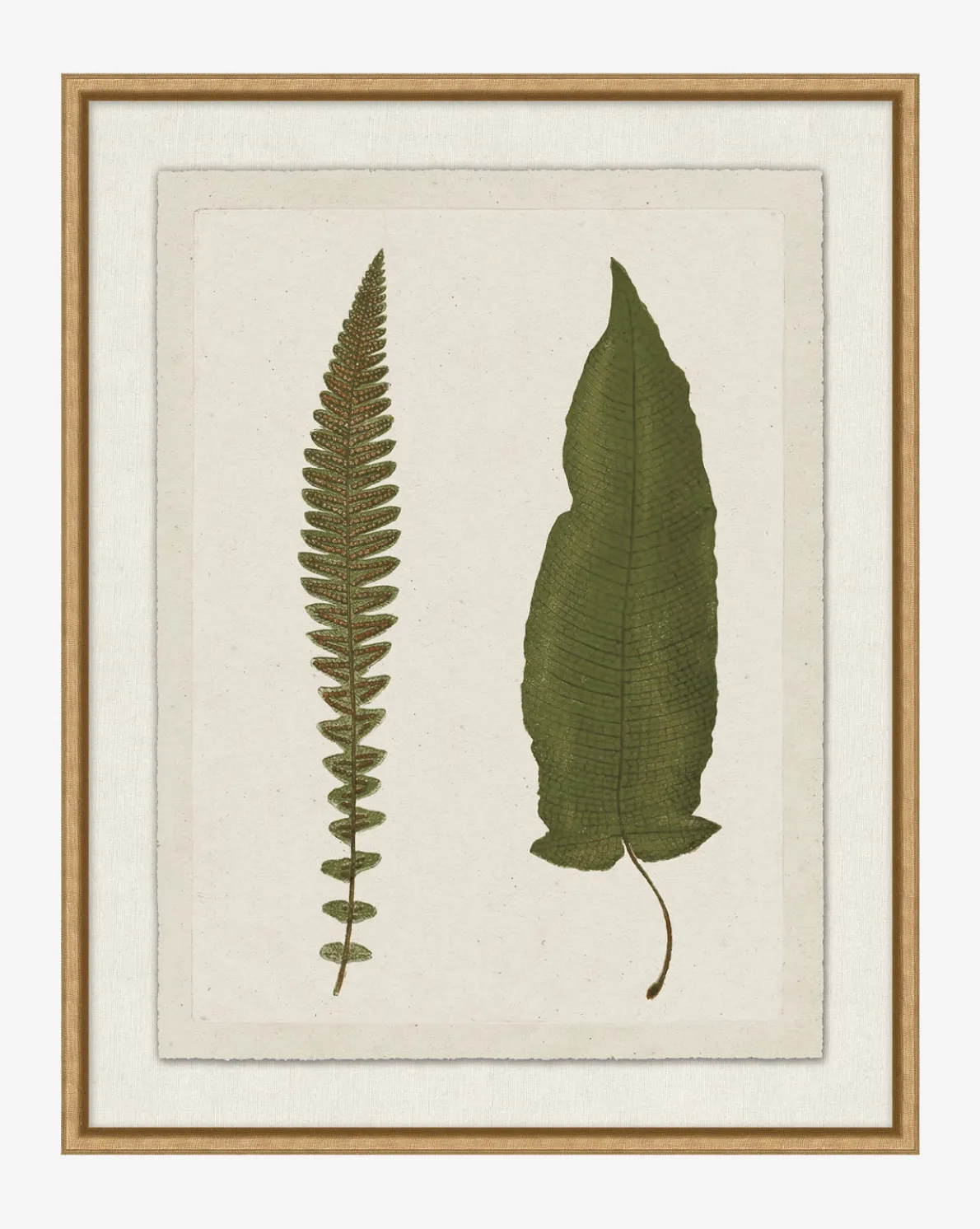 Botanical Pressings VII