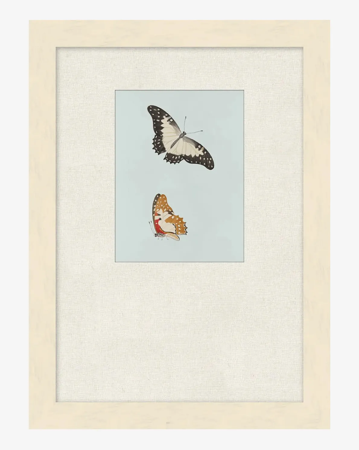 Butterflies Study II