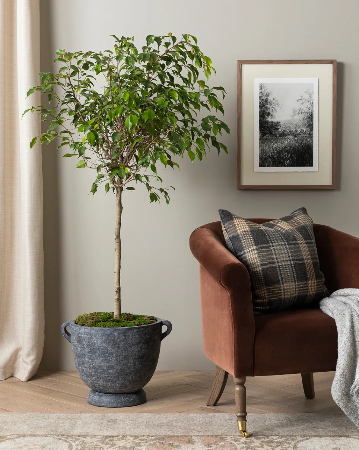 Clemence Lounge Chair (Ready to Ship)