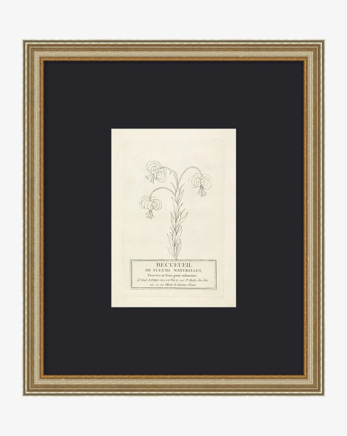 Collection Of French Flowers