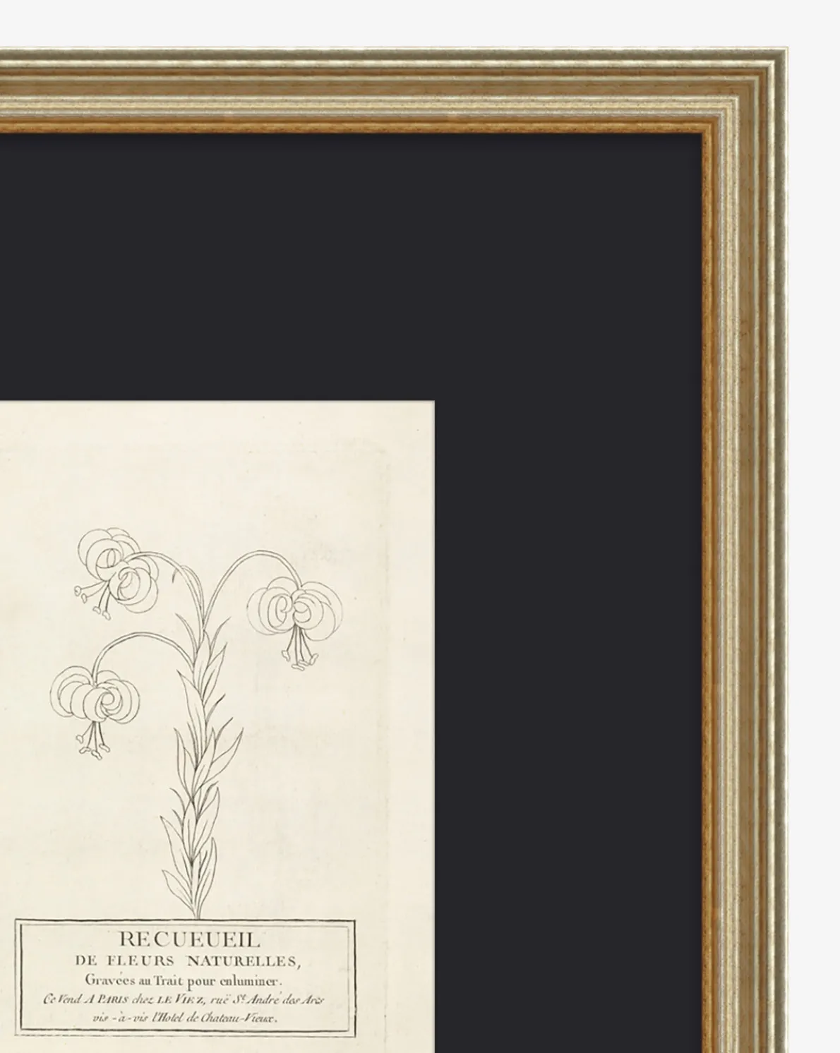 Collection Of French Flowers