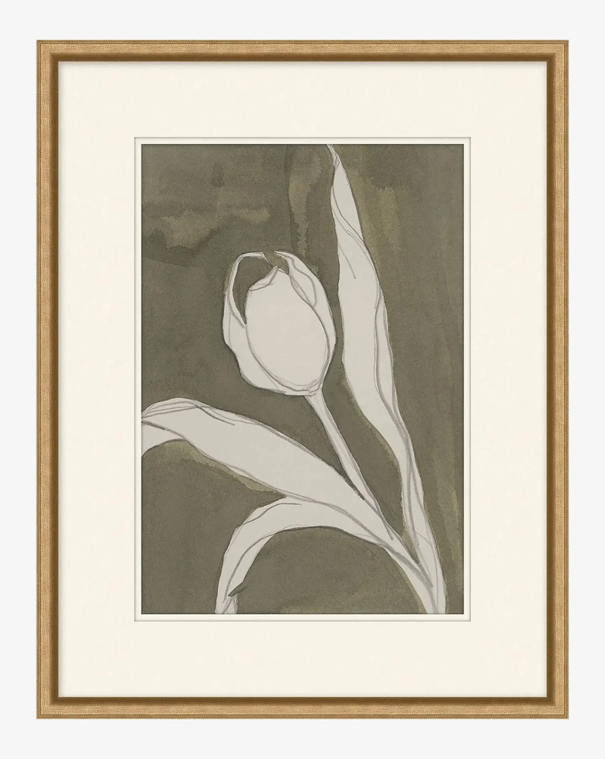 Delicate Tulip I by Rebekah Webb