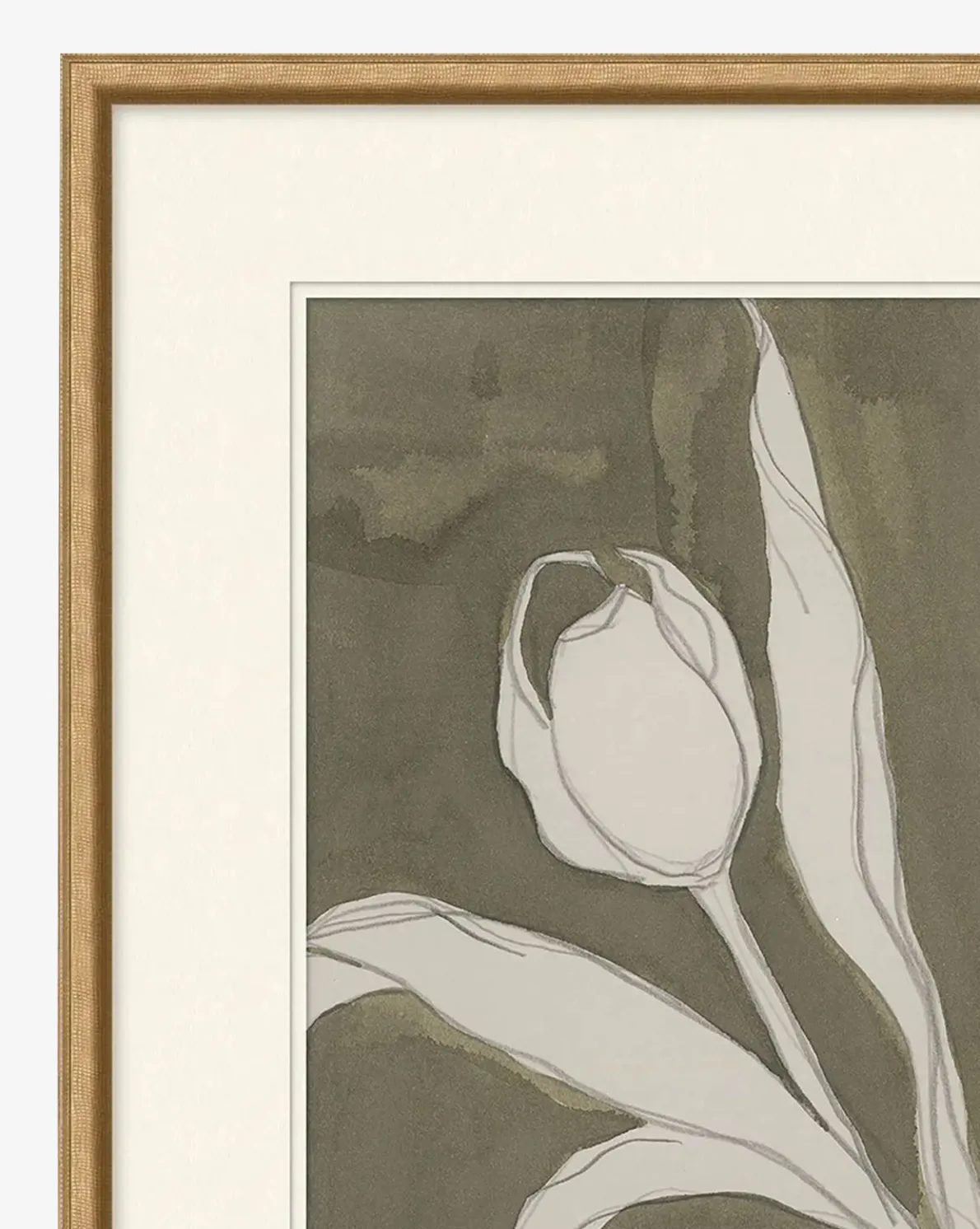 Delicate Tulip I by Rebekah Webb