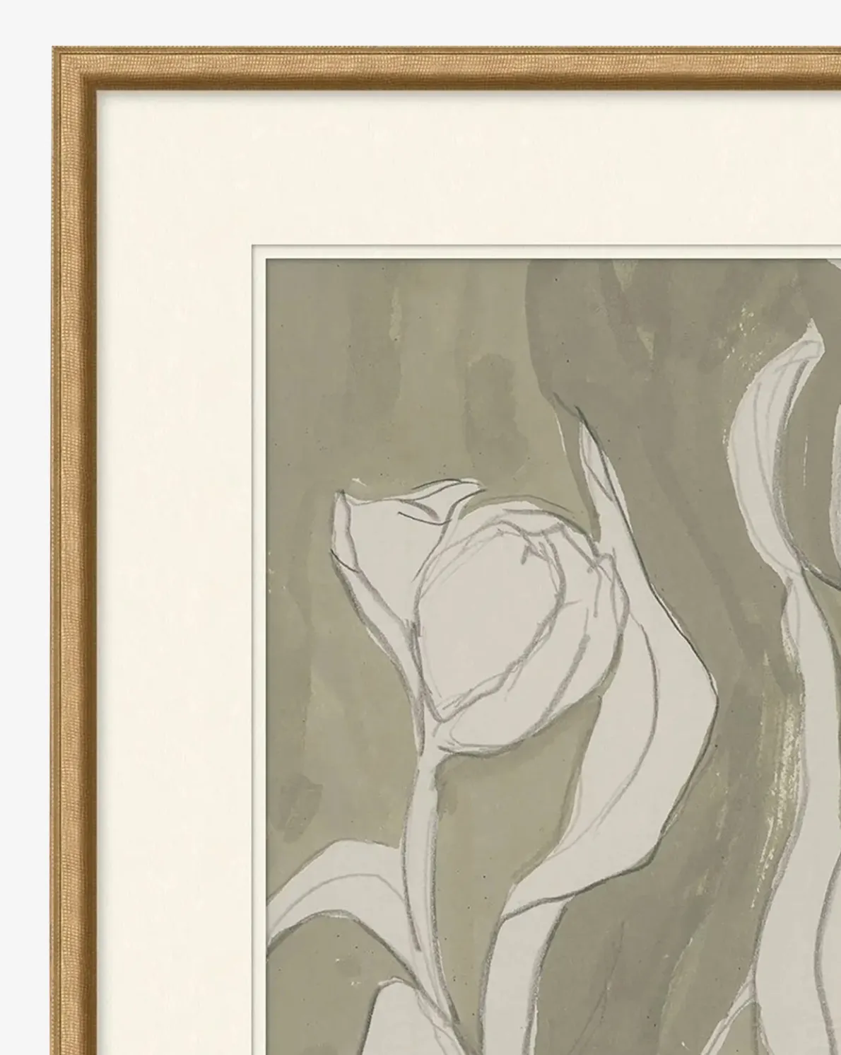 Delicate Tulip II by Rebekah Webb