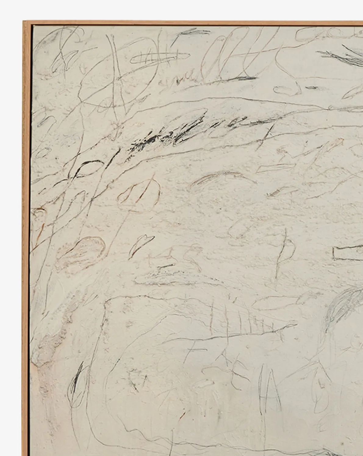 Examination of the Rose by Tyler Guinn