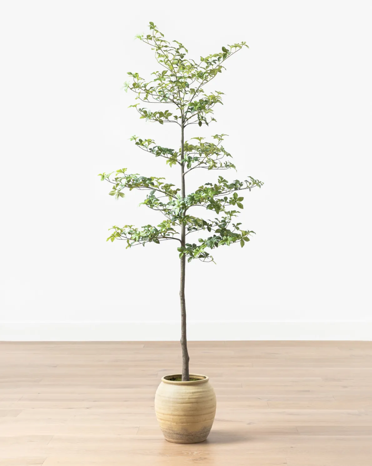 Faux Japanese Quince Tree