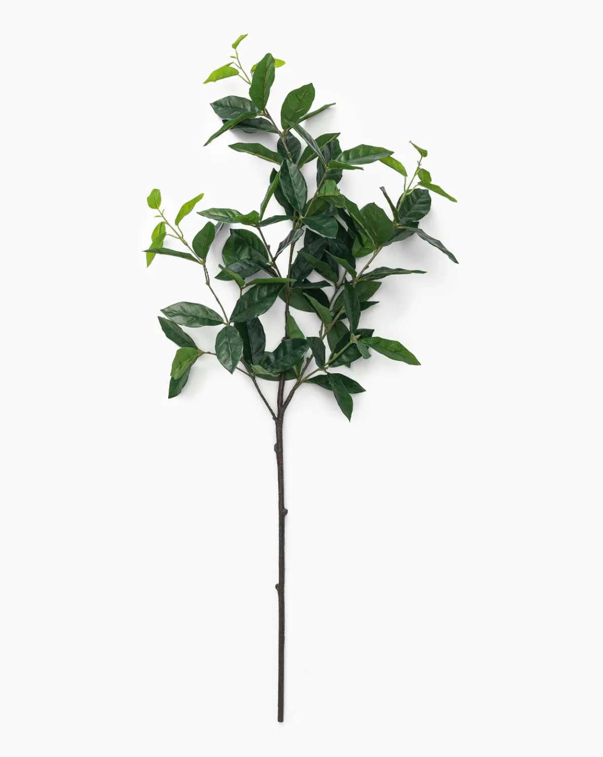 Faux Laurel Leaf Branch