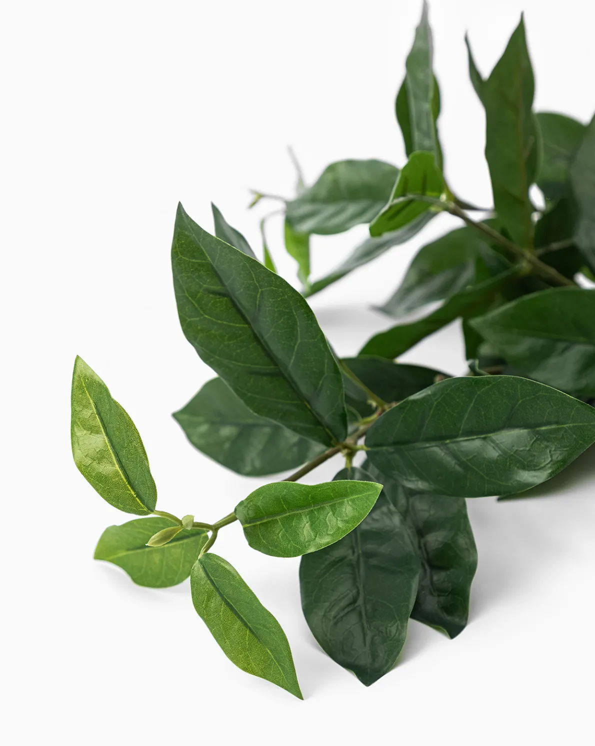 Faux Laurel Leaf Branch