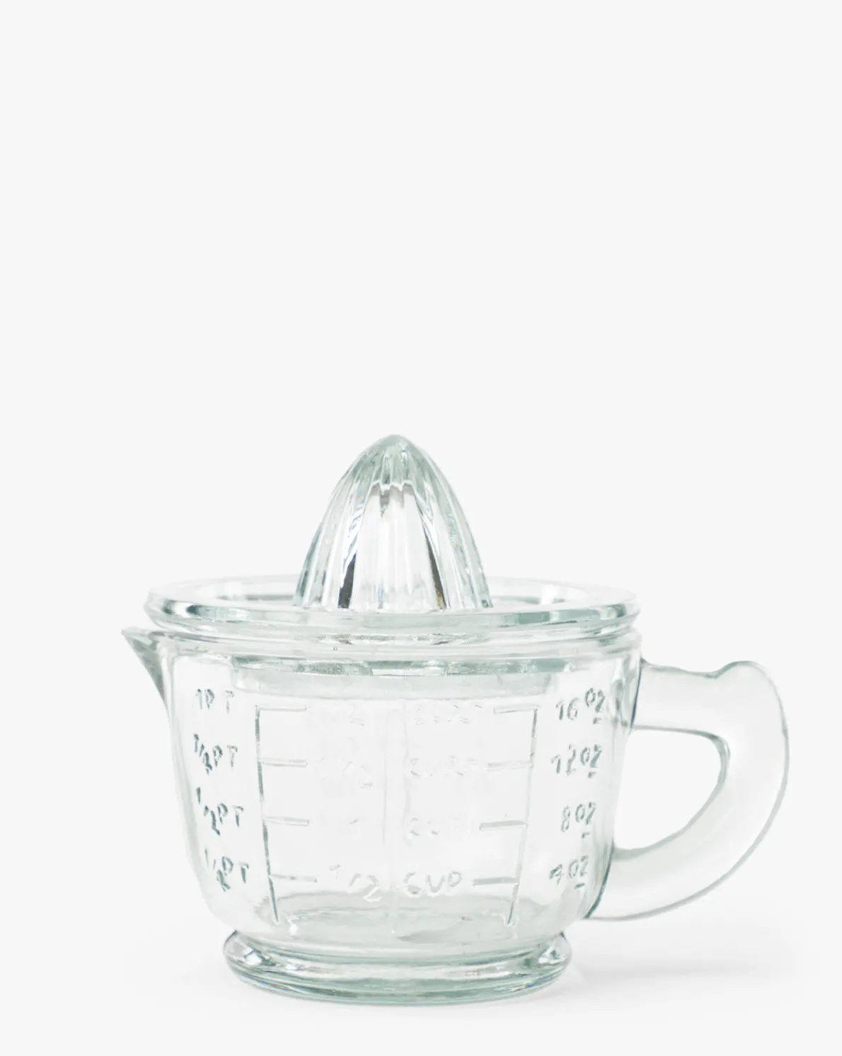 Glass Juicer with Measuring Cup