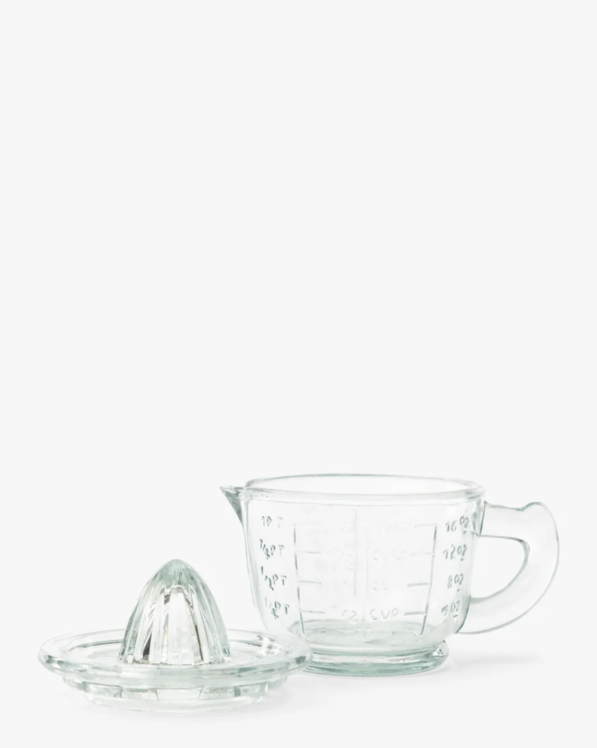 Glass Juicer with Measuring Cup