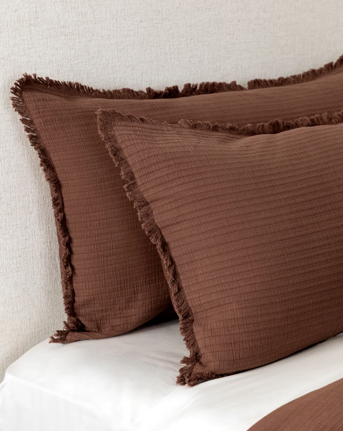 Hendricks Chocolate Cotton Shams (Set of 2)