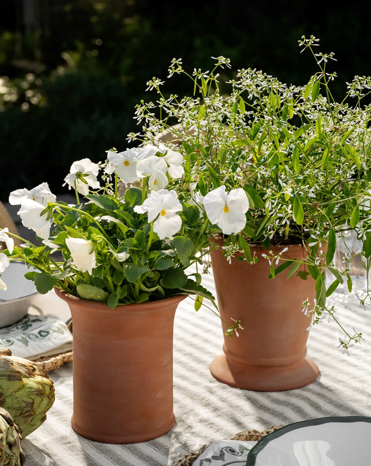 Lorenzo Terracotta Pot