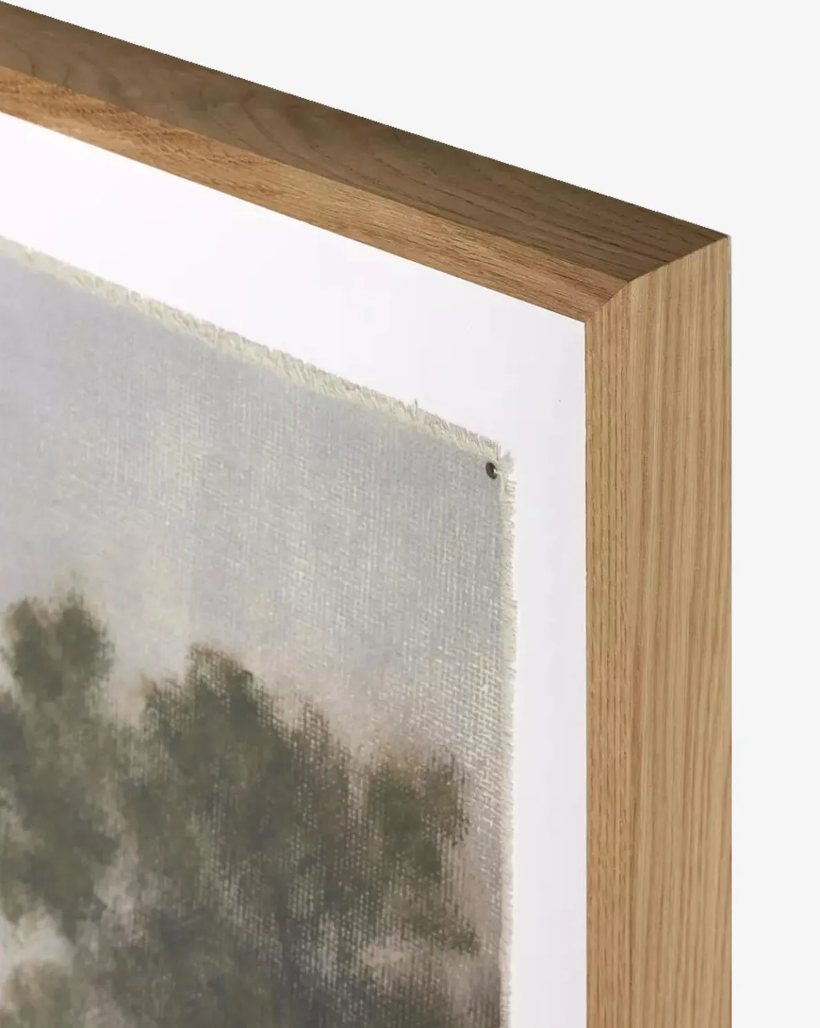 Morning Glory by Aileen Fitzgerald