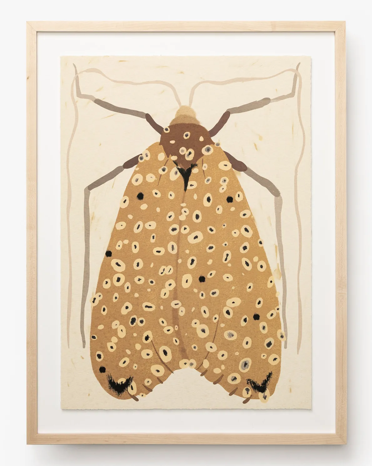 Moth IV By Coup d'Esprit