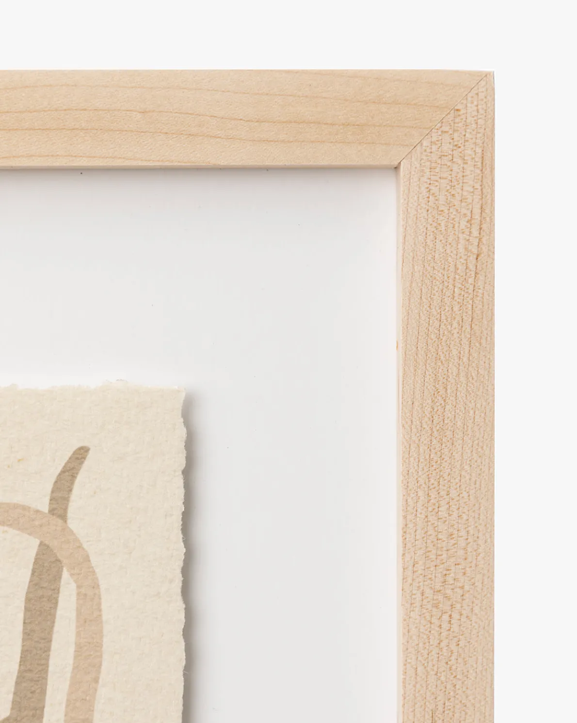 Moth IV By Coup d'Esprit