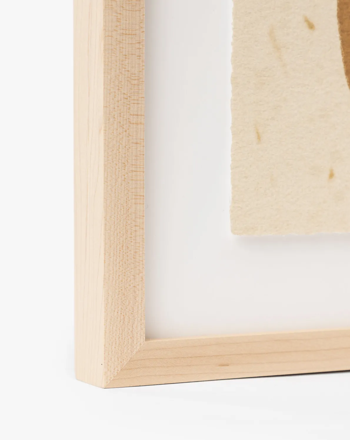 Moth IV By Coup d'Esprit