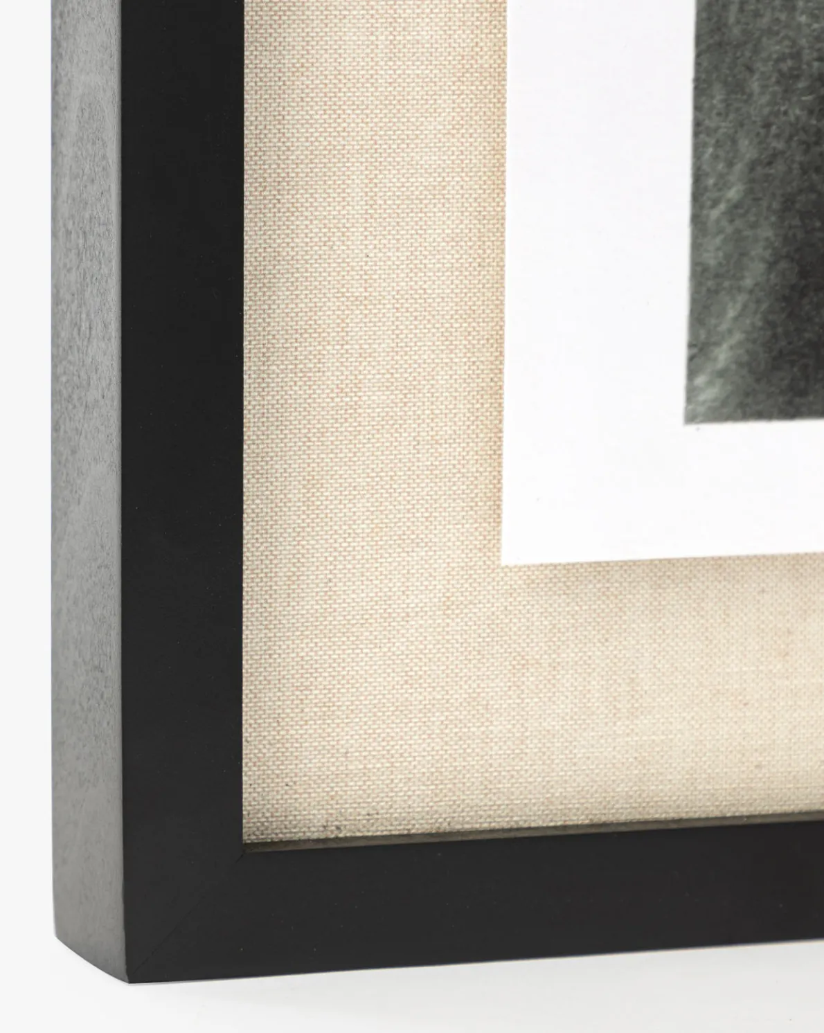 Muted Florida Pines by Carol Haymon