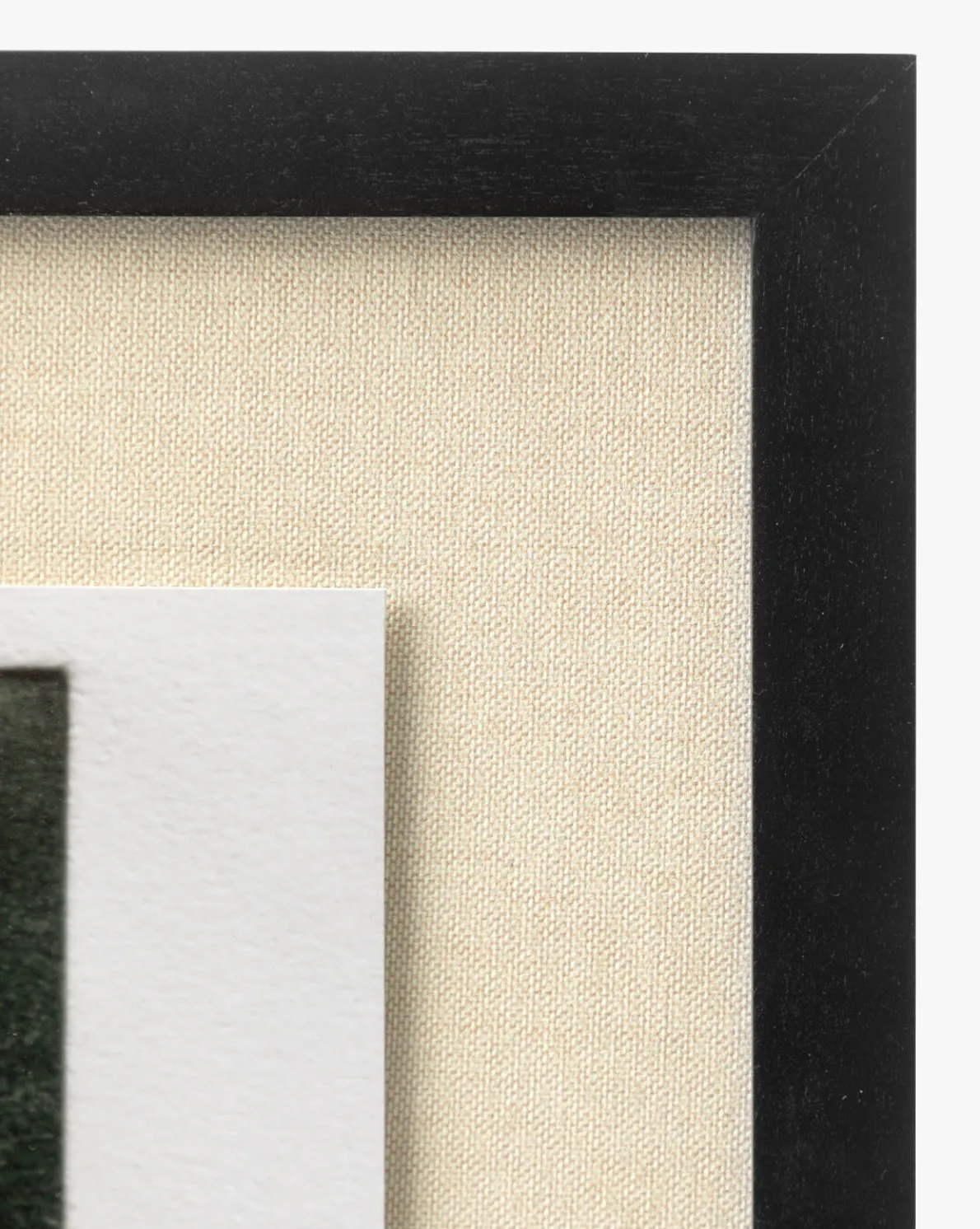 Muted Path Green by Carol Haymon