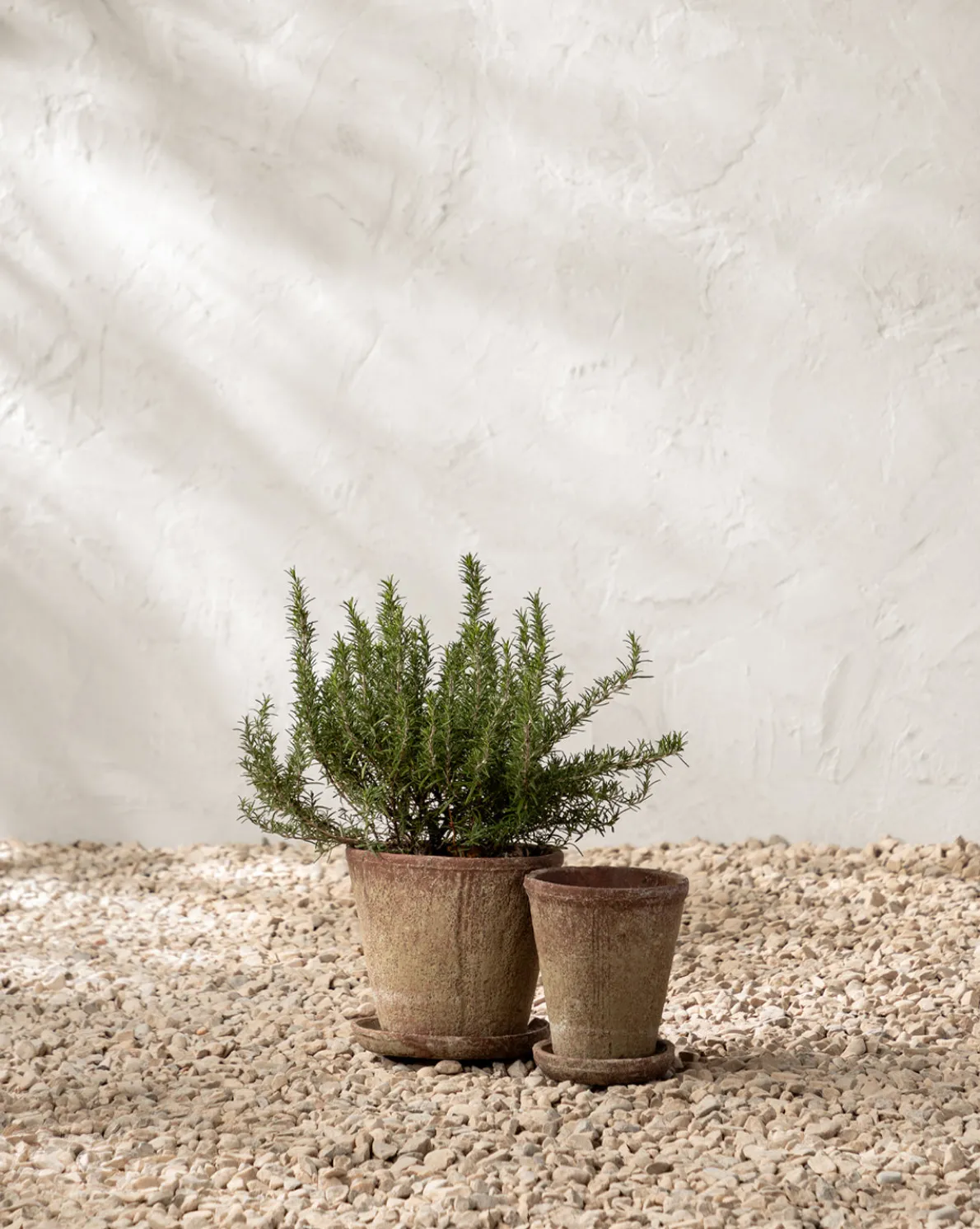 Oksana Distressed Cement Planter