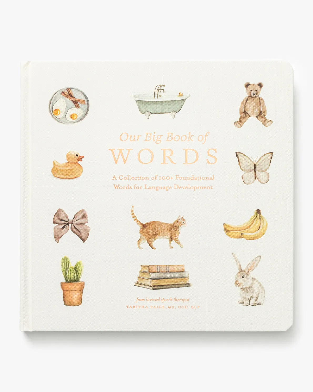 Our Big Book of First Words