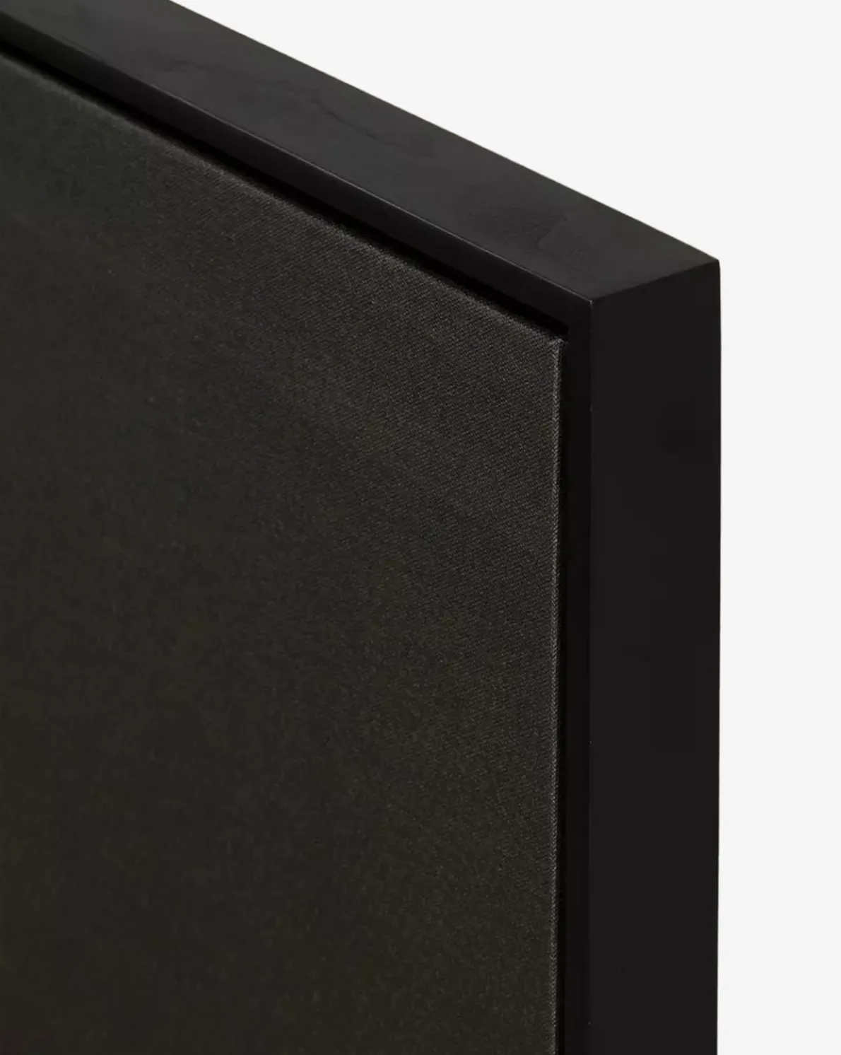 Pear I by Shaina Page