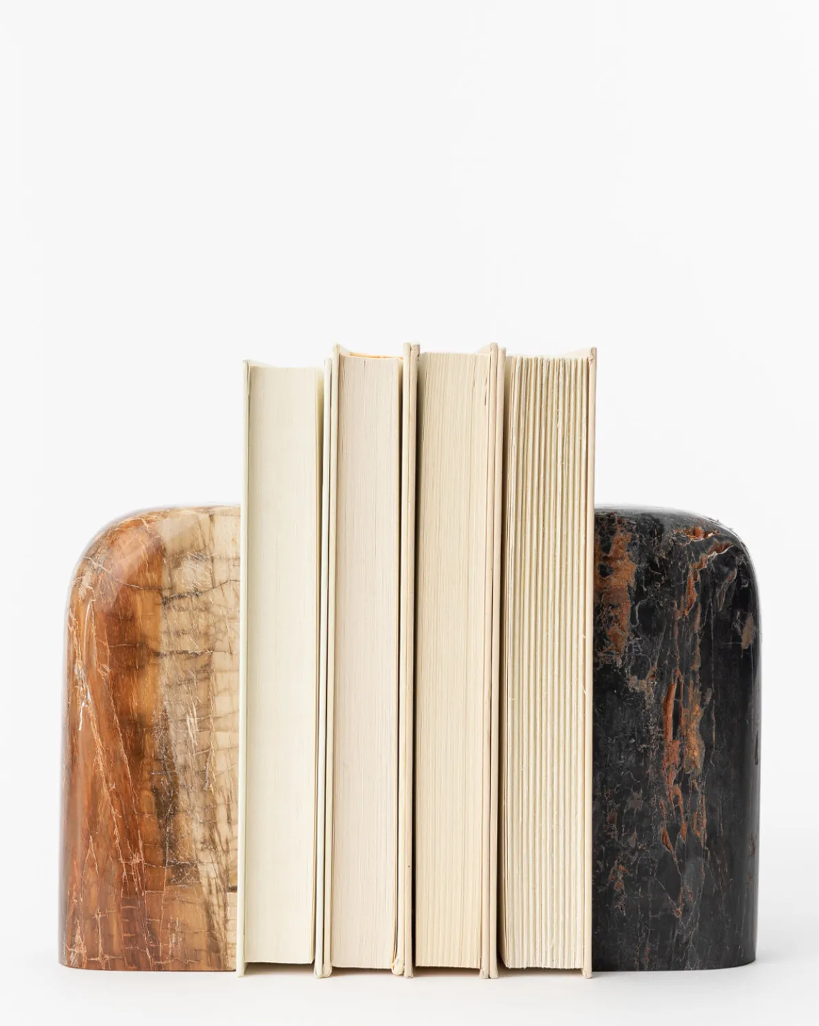 Petrified Wood Bookends (Set of 2)