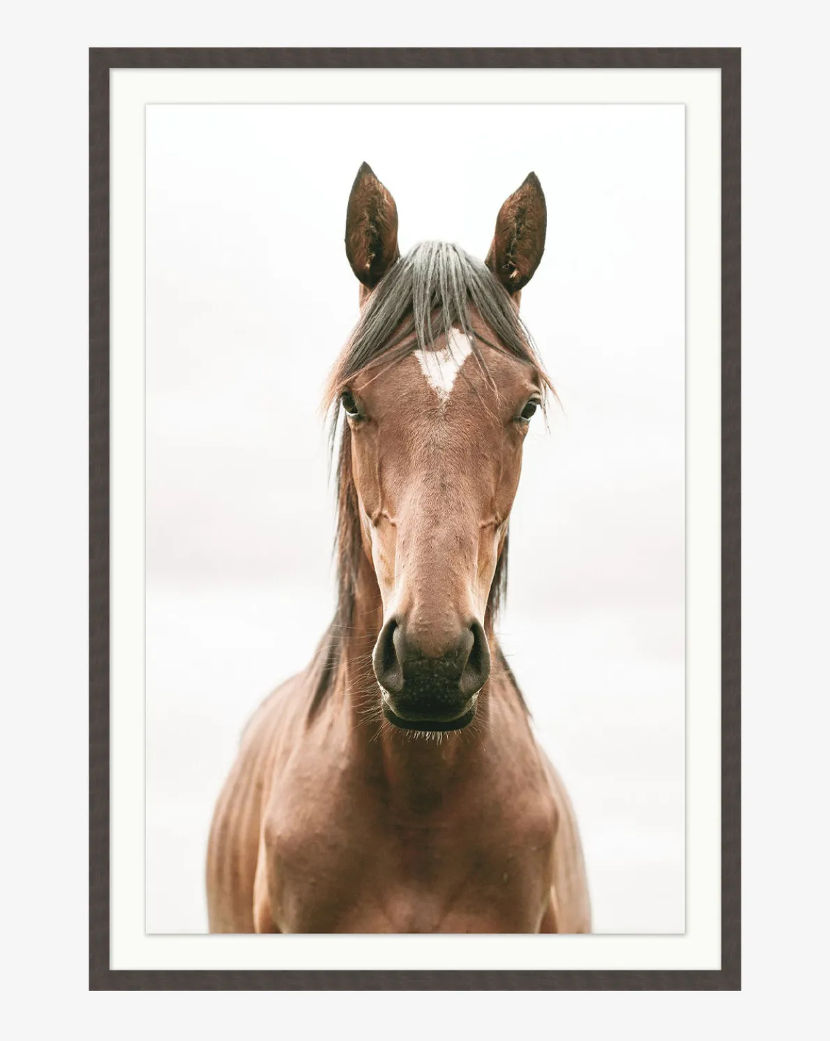 Presence by Stokley Berg