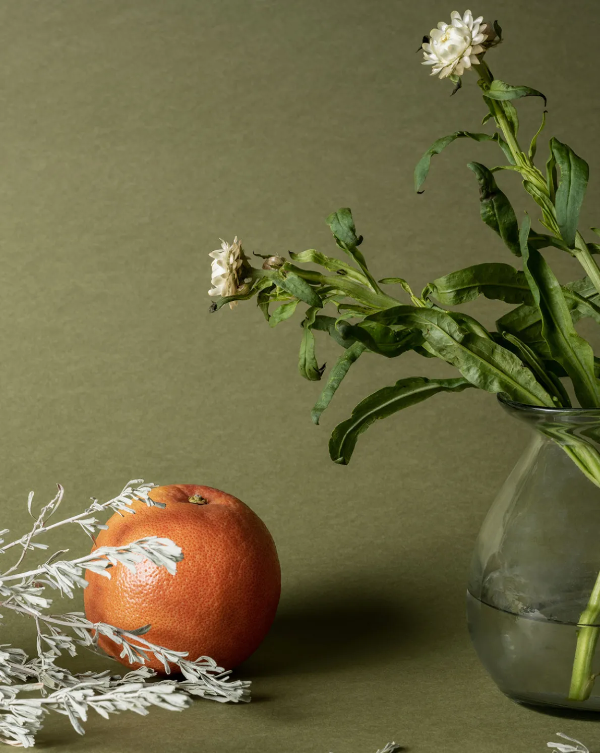 Pura x Studio McGee Wild Sage Home Fragrance Refill