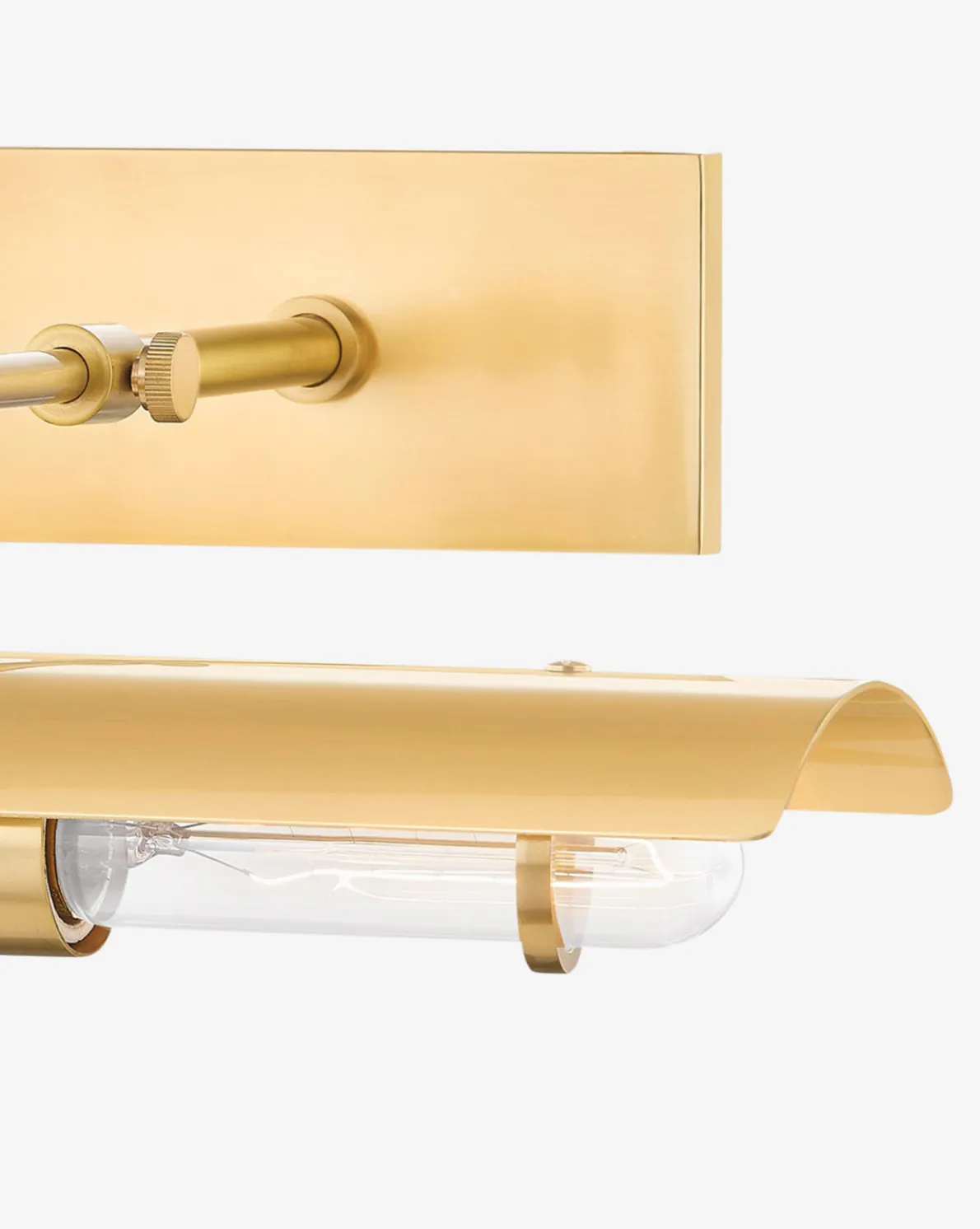 Raelynn Picture Light