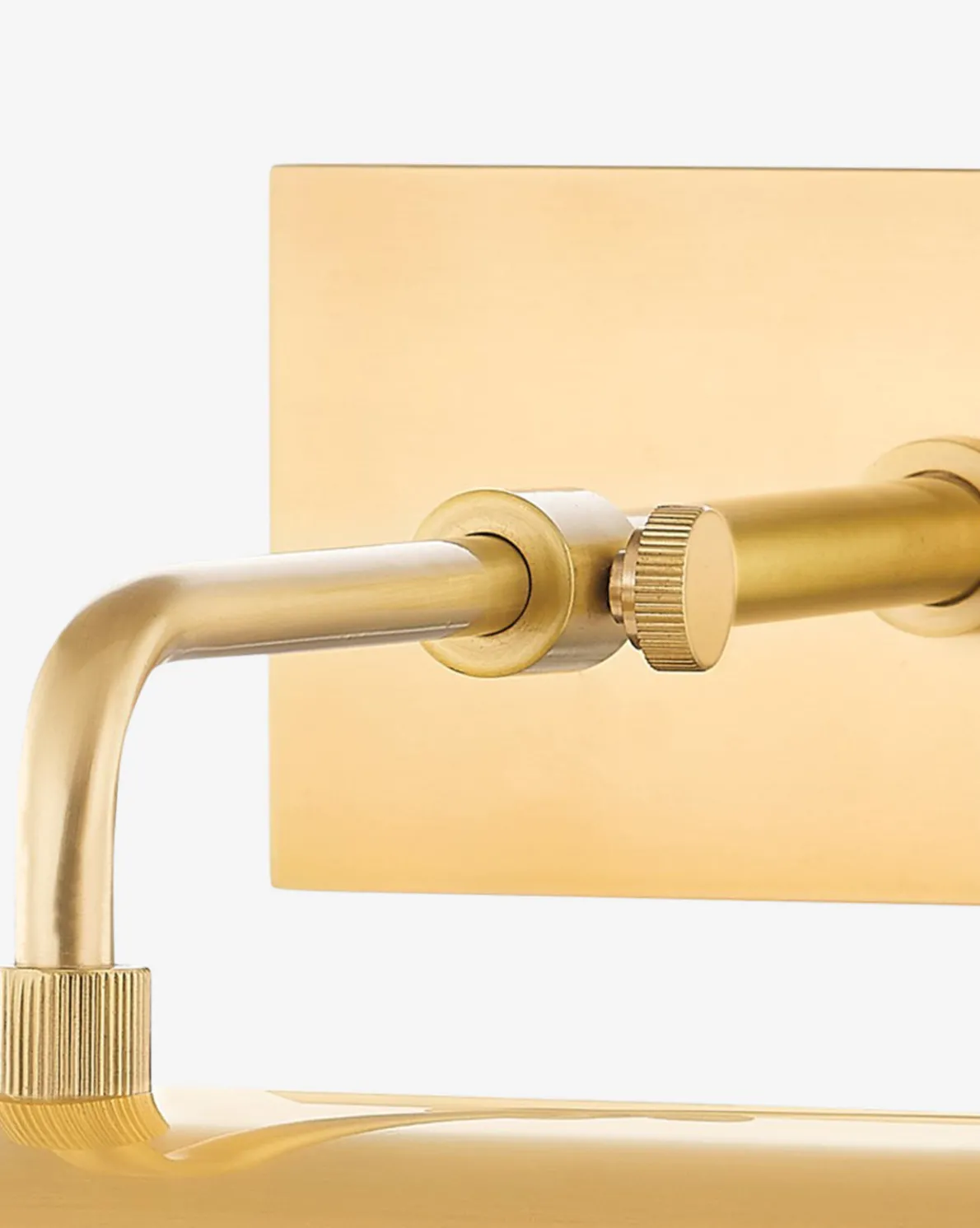 Raelynn Picture Light