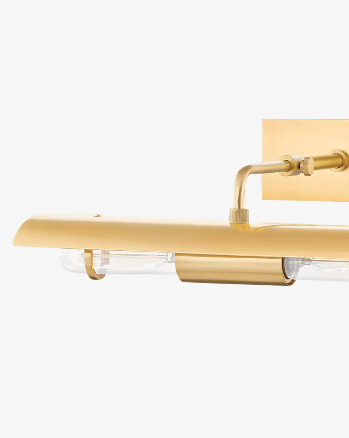 Raelynn Picture Light