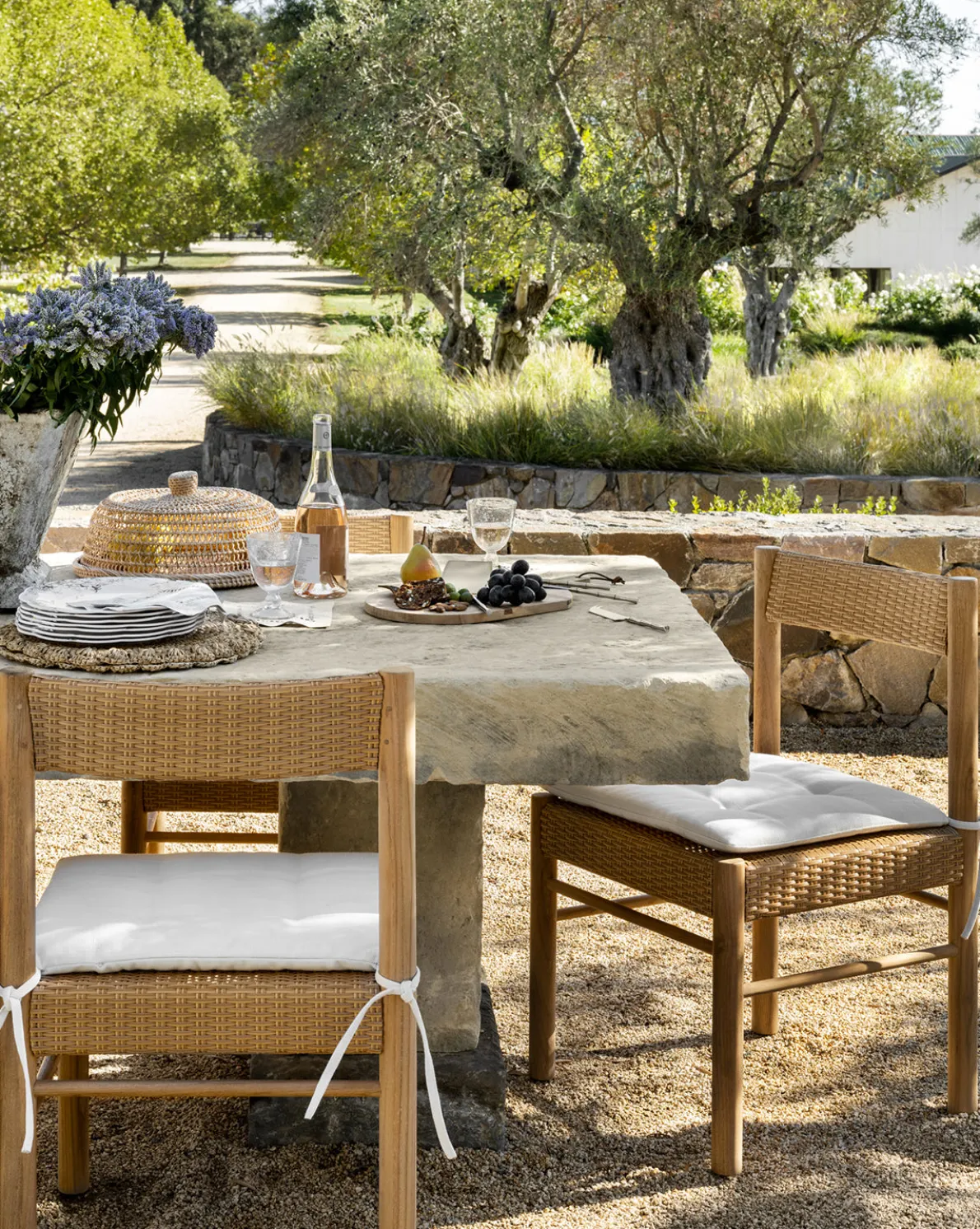 Simeon Outdoor Dining Chair