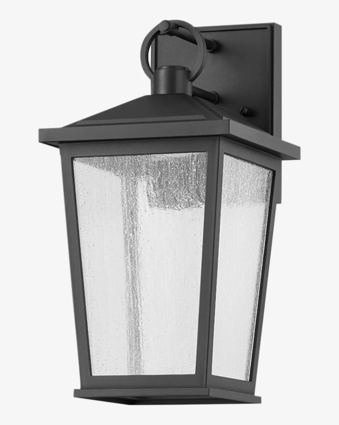 Soren Frosted Indoor/Outdoor Wall Sconce
