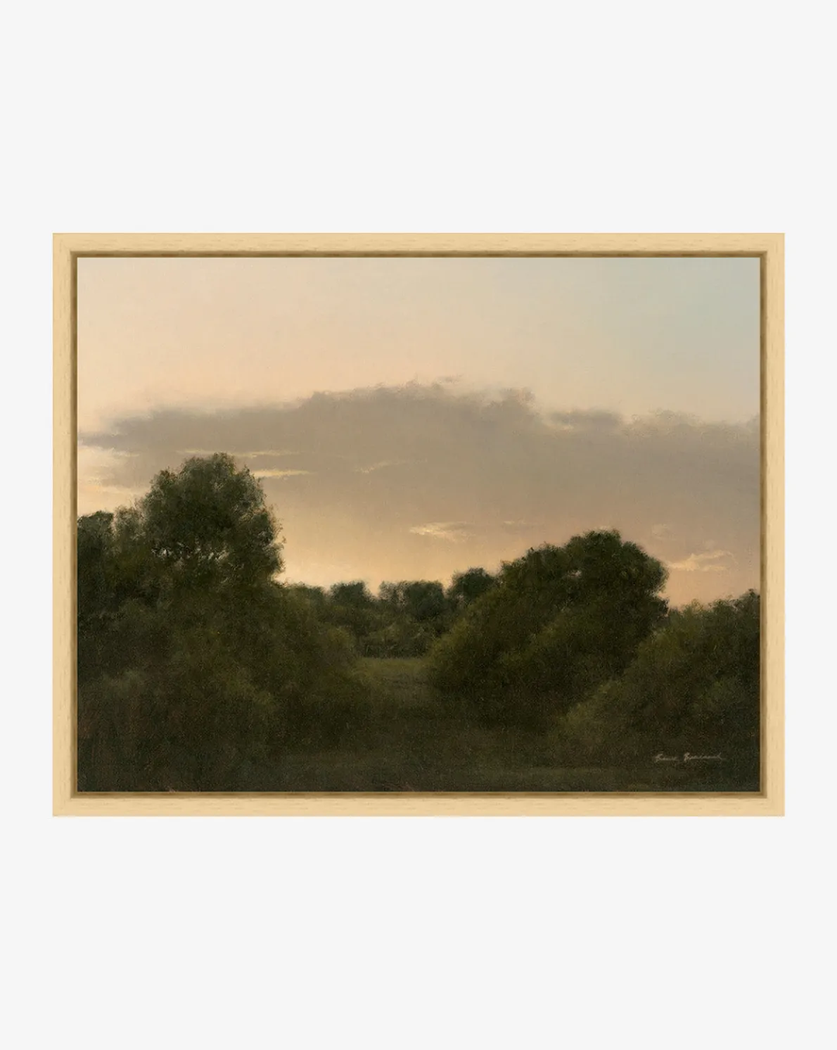 The Grove by Bruce Brainard