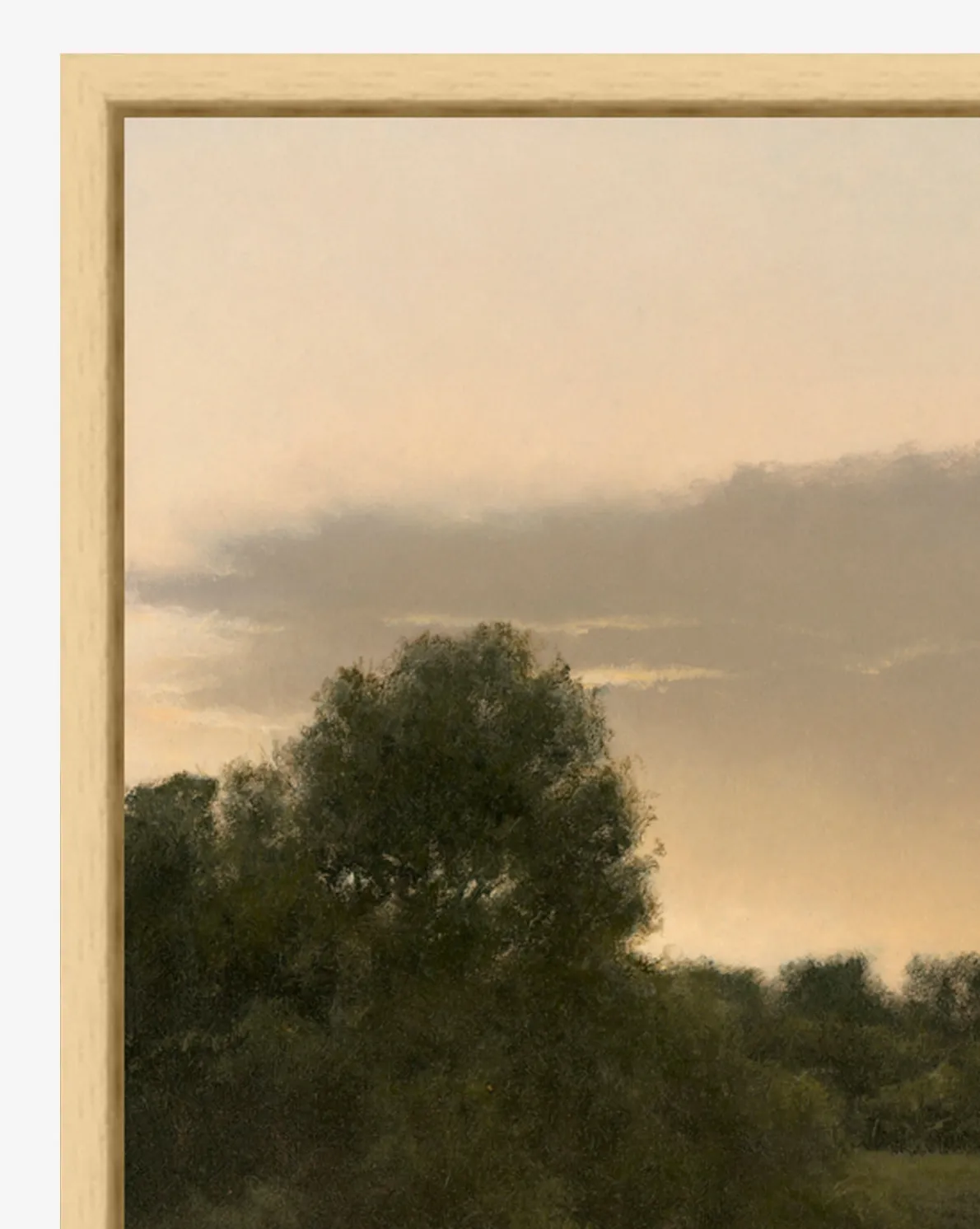 The Grove by Bruce Brainard