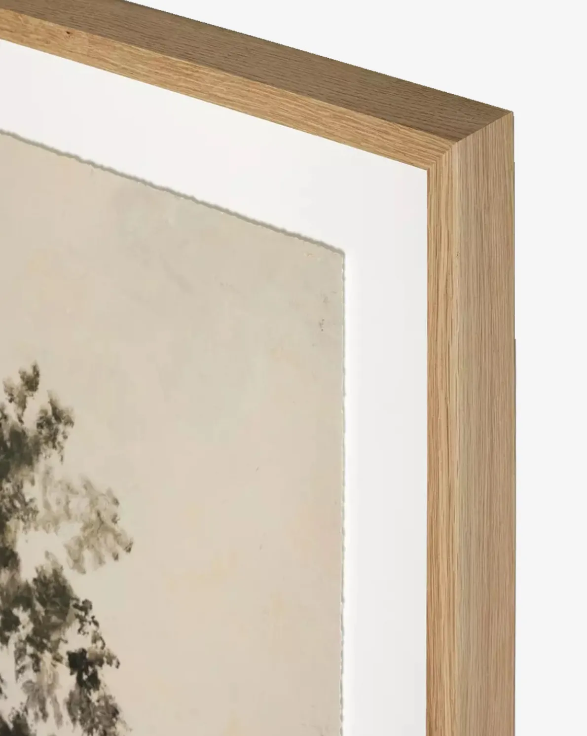 We Woke To A Dream by Aileen Fitzgerald