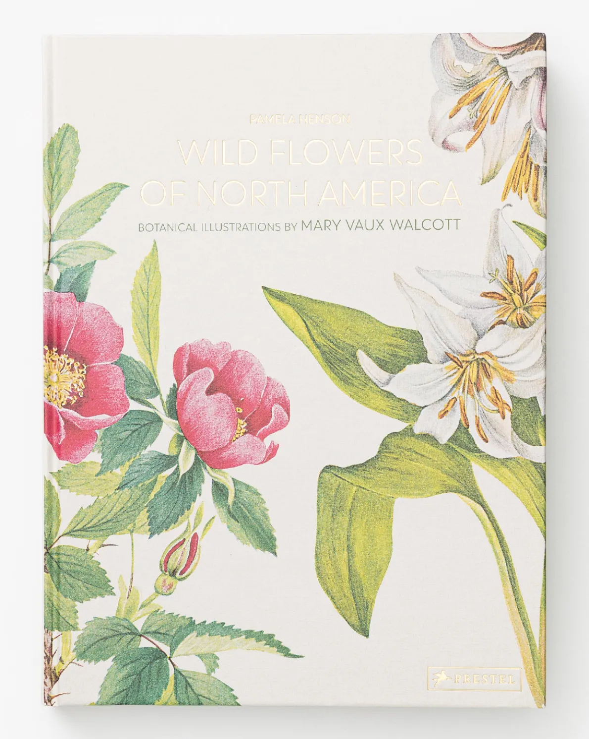 Wild Flowers of North America