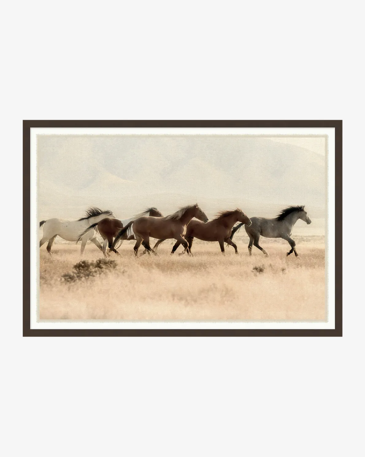 Wild Horses